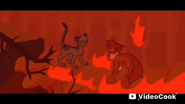 что то или какая то фигня