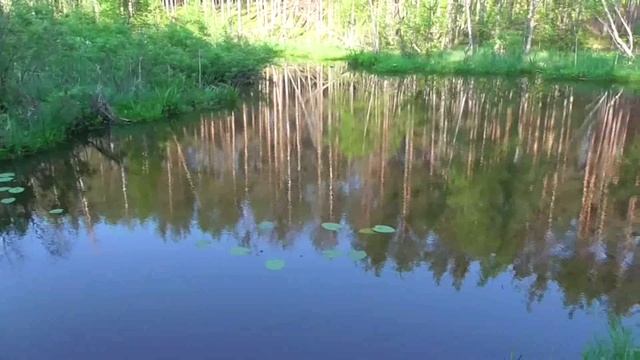 Вело прогулка ч11 конец