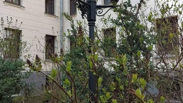 ++   Весна пришла - появились листочки. №+= (2)