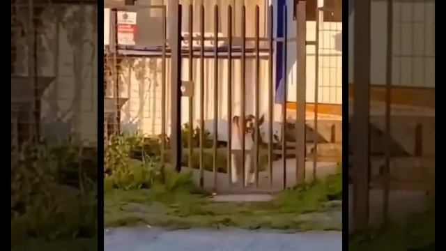 &.