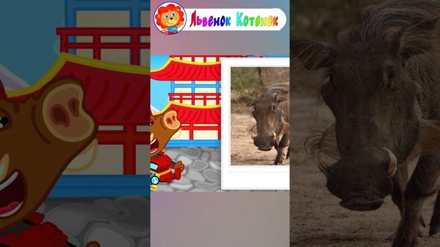 Проект улыбка