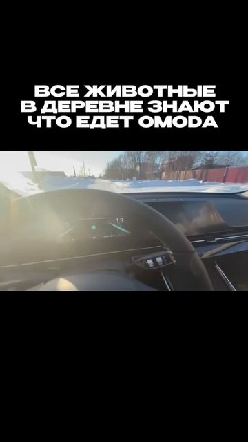 Лучшая шумоизоляция! OMODA