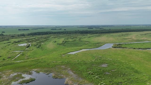 Июньское утро на водоеме