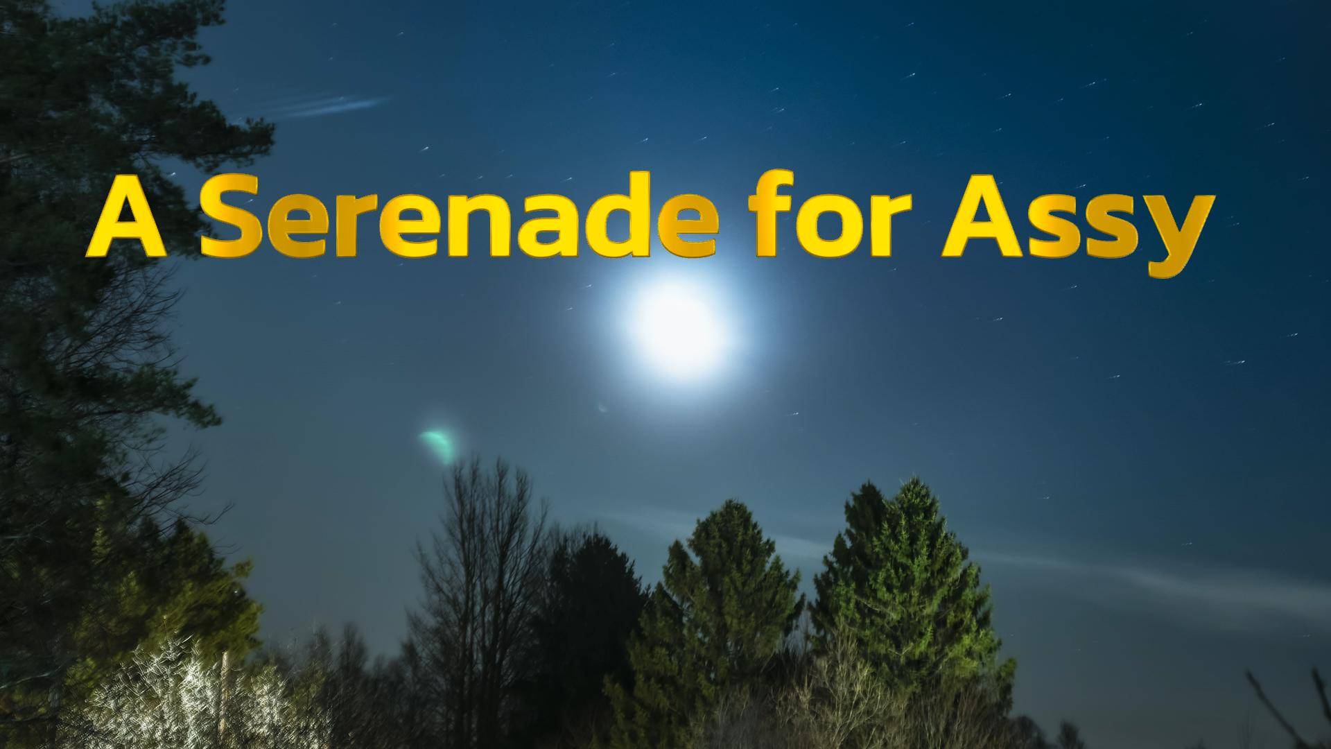 A Serenade for Assy