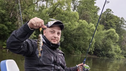 рыбалка на десне