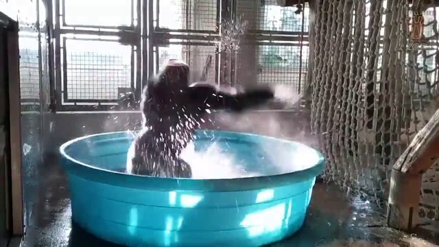 Ура! Воду горячую дали!