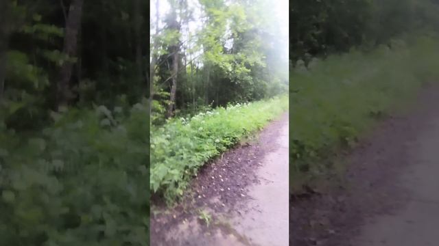 29-06-2025 Ударный триатлон, по Ккал(полумарафон 20км с гонтелями, вело 17км,плавание)