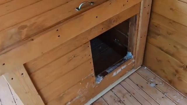 Вольер для собак уличный от производителя ПетергофСтрой