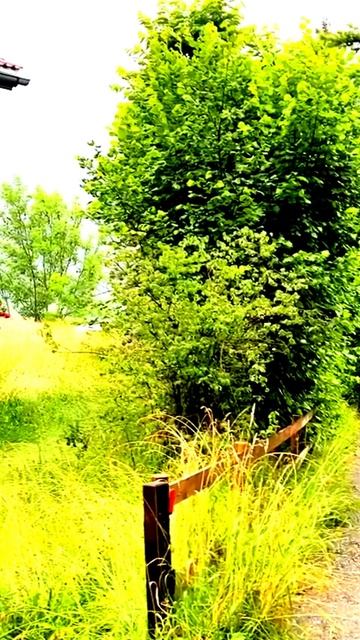 За кадром: лучшие моменты