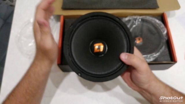 Динамики от Компании DL AUDIO PHOENIX PUNCN MACHINE 165.