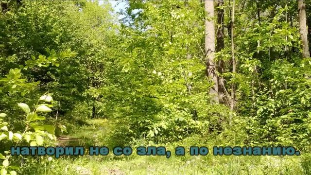 ЛЕСОВИК  добрый дух ЛЕСА
