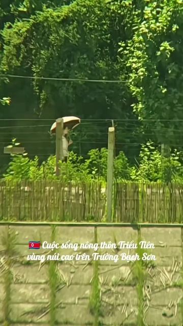 🇰🇵 DPRK Rural life on Paektu mounts🏔️