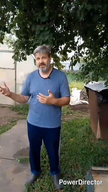 1000038483.mp4/shorts