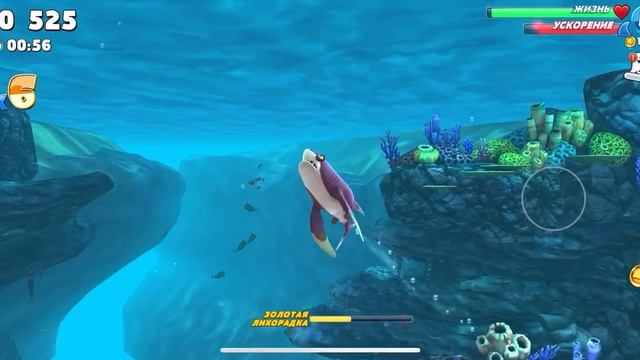 Hungry Shark World рифовая акула