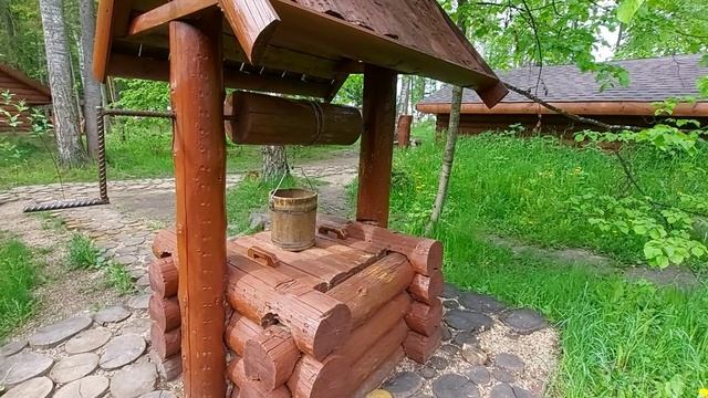 Красивые рыжие кошки, интересные когда молодые и на охоте ) (1)