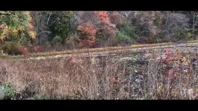 Вальс "Ожидание" (Музыка Тимура Максимова)