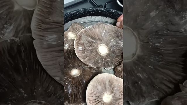 Деревни жить хорошо всё растет