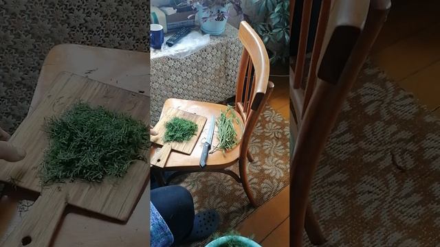 деревня