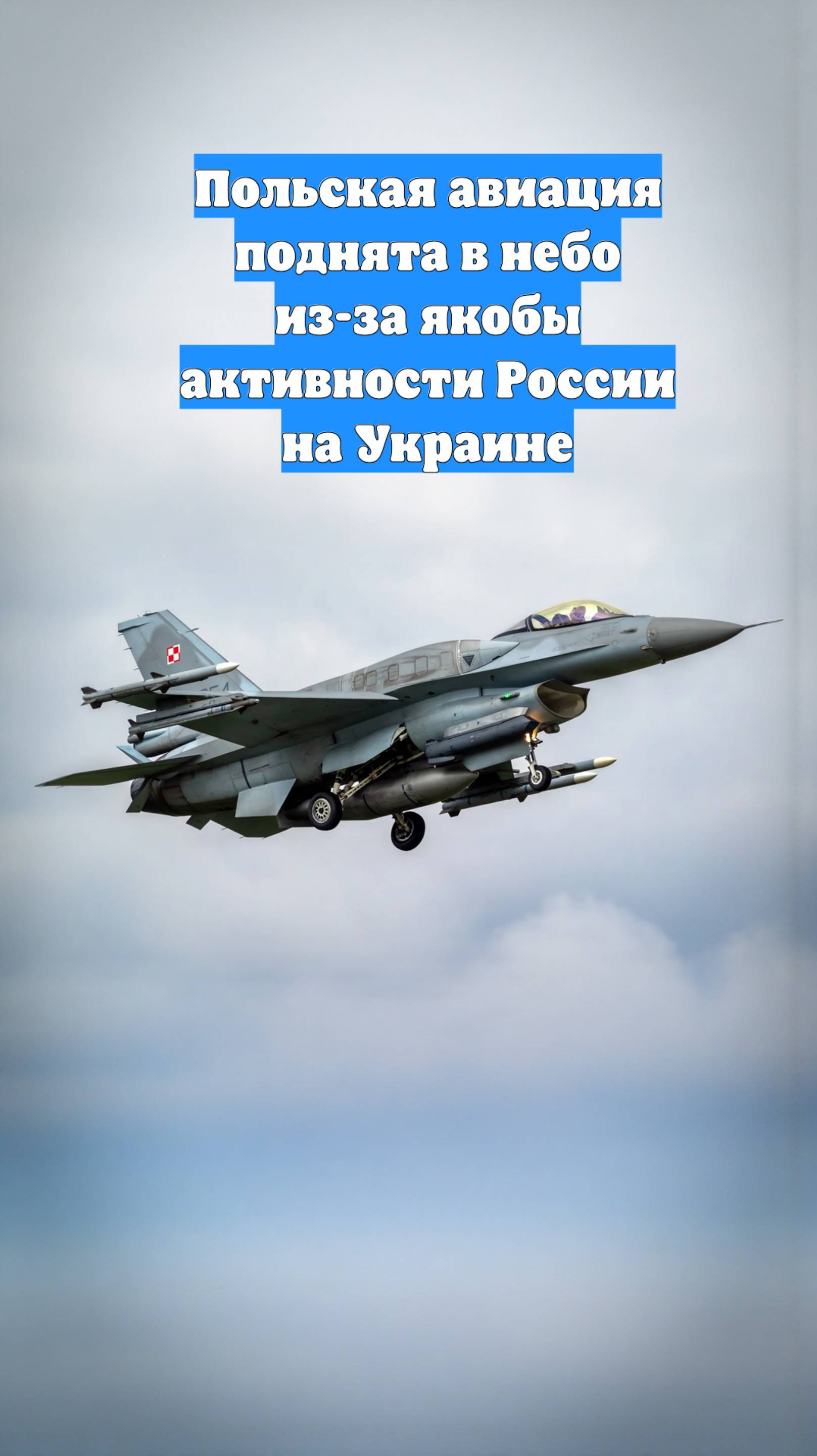Польская авиация поднята в небо из-за якобы активности России на Украине