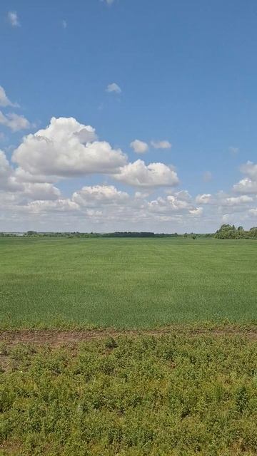 За окном из поезда такие красивые виды🌞