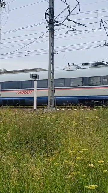 Сапсан в русском пейзаже.