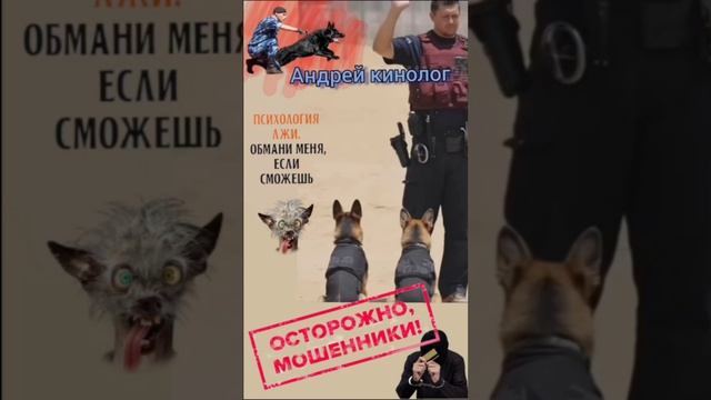 Разбирание в юридическом порядке!