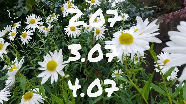 Лунный календарь для цветоводов с30.06-6.07.25г.