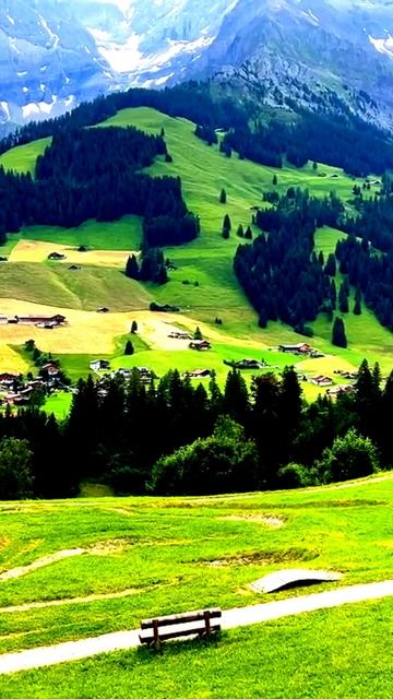 Камера сняла то, что случается раз в жизни