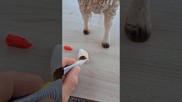 У тёщи никогда не бывает скучно.