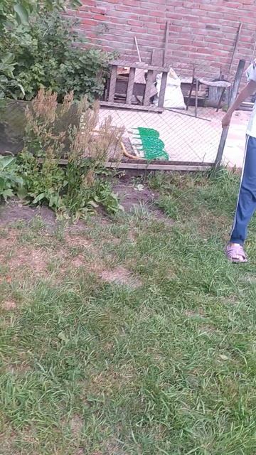 была у лп в гостях