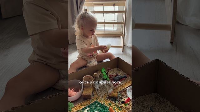 Сенсорная коробка «Ферма»🐄