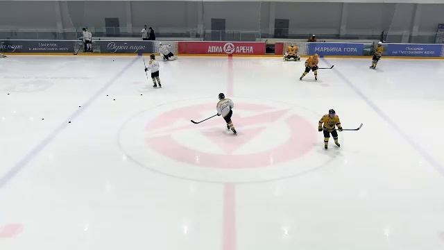 Grizzly Dream Team - Протектор