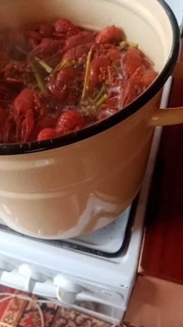 VID_20240724_140037.mp4