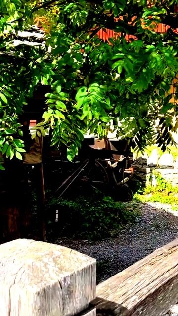 Камера поймала лучшее