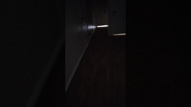 VID_20250629_091408.mp4