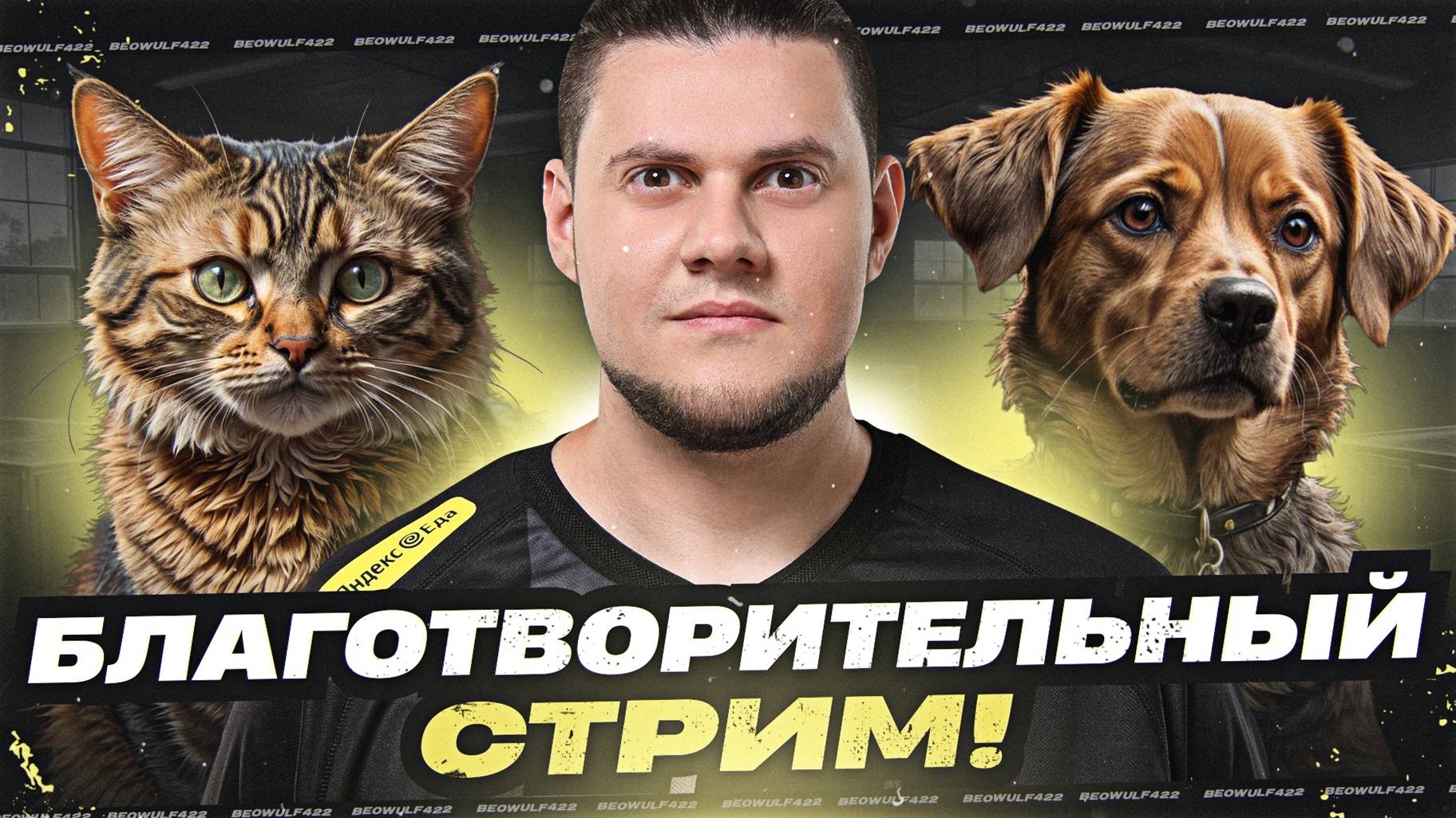 🔥БЛАГОТВОРИТЕЛЬНЫЙ СТРИМ ● ПОМОГИ СОБАКАМ!