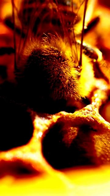 Камера показала