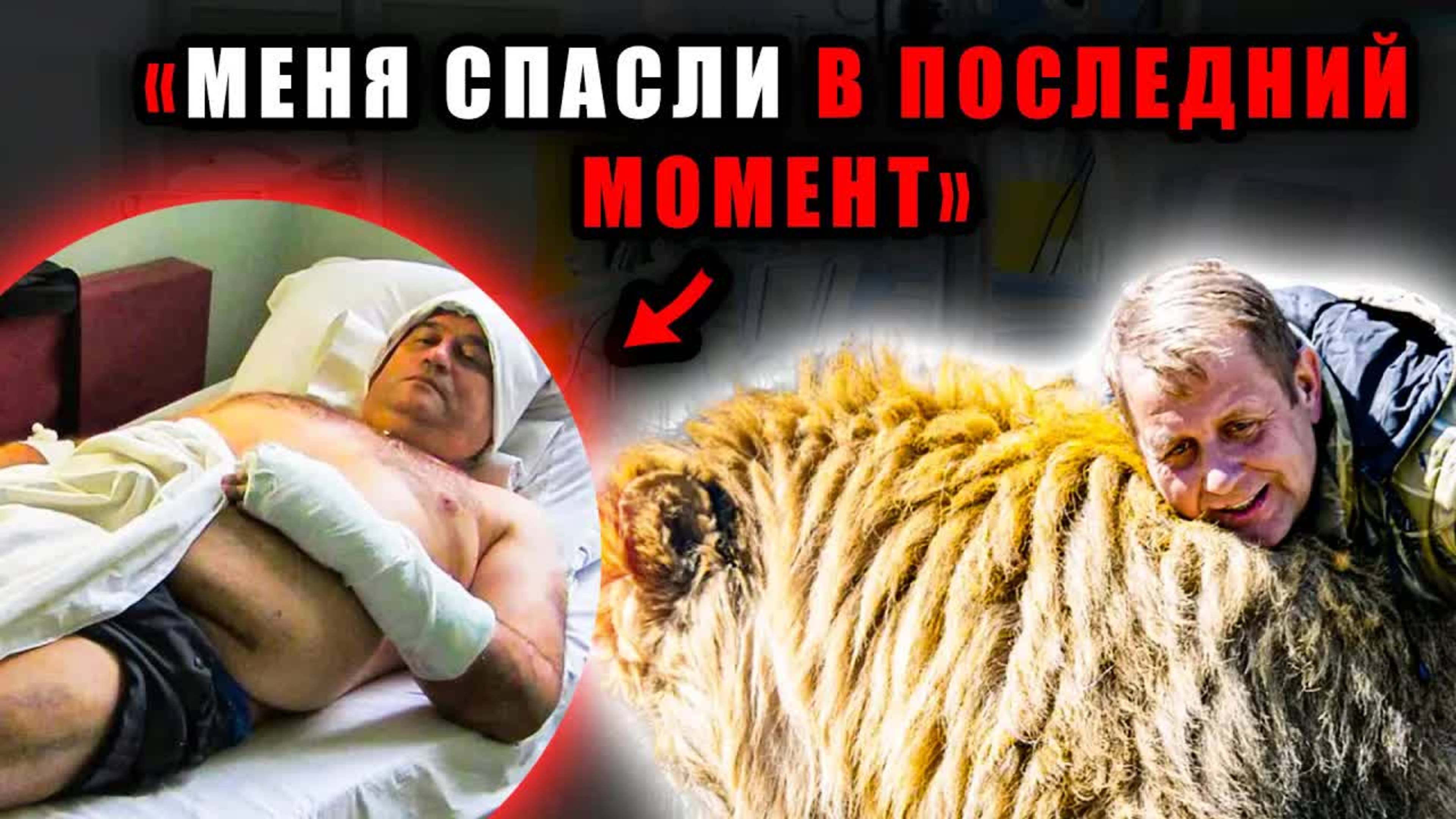 Олег Зубков очнулся после атаки льва — рассказал, что пережил в вольере. Новости шоубизнеса