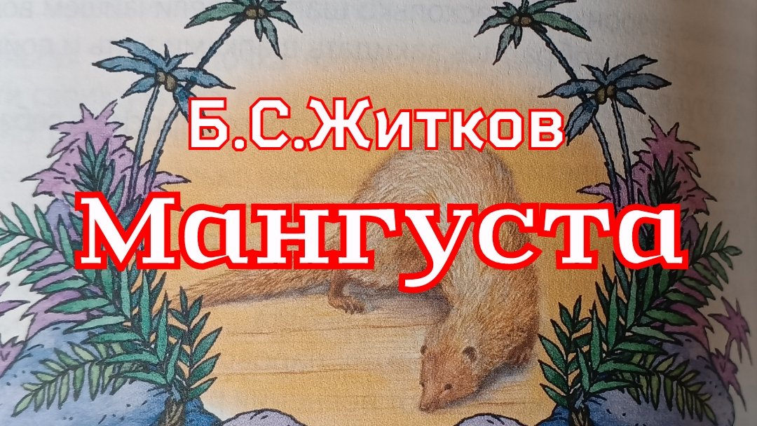 Рассказ «Мангуста» Б.С.Житков