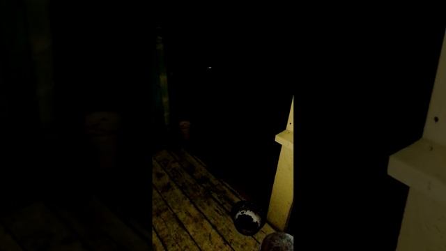 1000016049.mp4