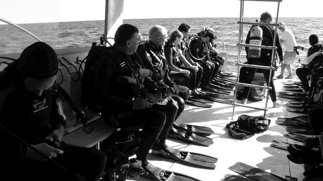 Дайвинг во Флориде