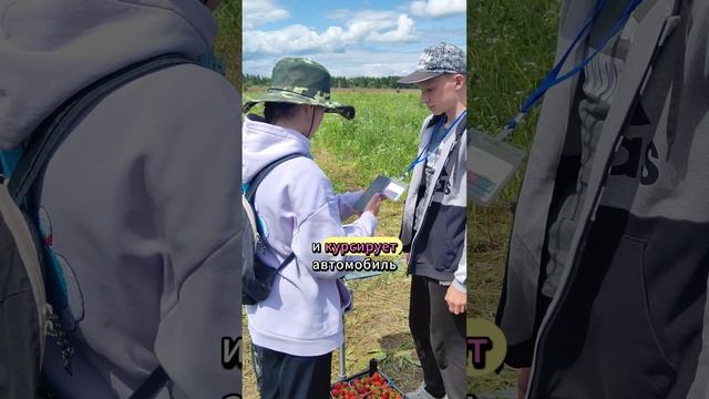 Учёт сбора урожая Ягодный Дом Чувашия