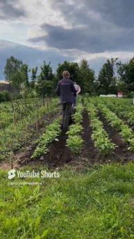 #грузовыерешения ✅️ #пашем #automobile #дальнобощики #приколы #shortvideo