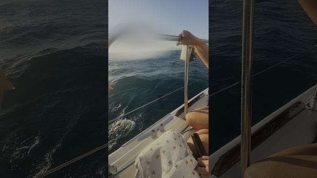 Загадала чудо и приплыли дельфины!