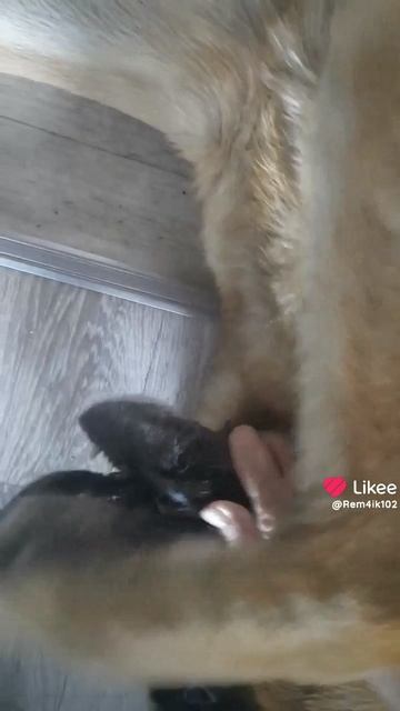 Тебя рядом нет - скучаю❤️