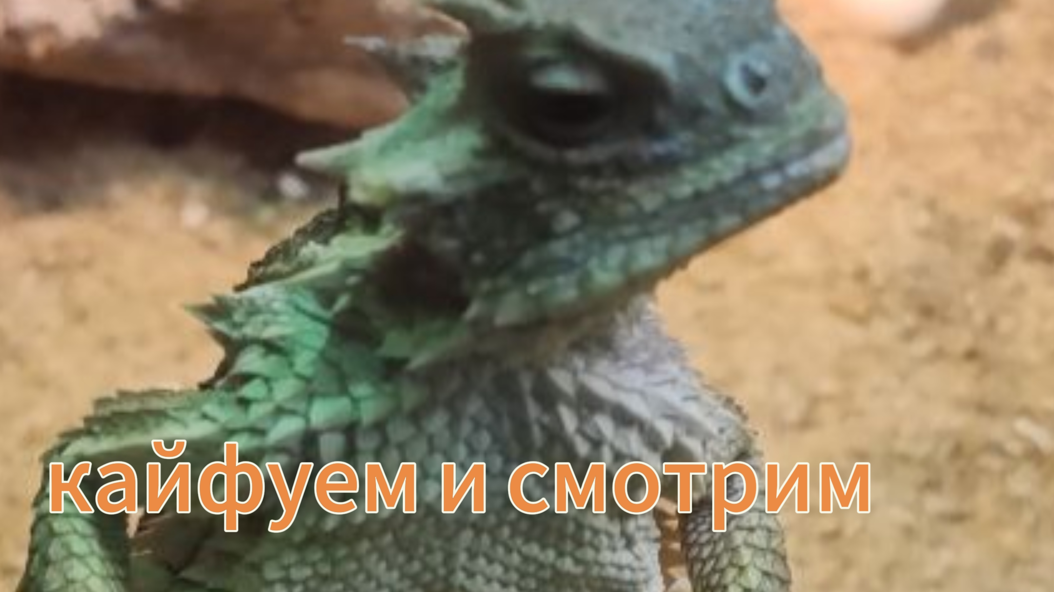 Полная прогулка по Москве 2