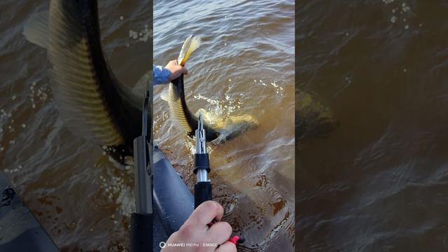 Рыбалка с профессиональным гидом.