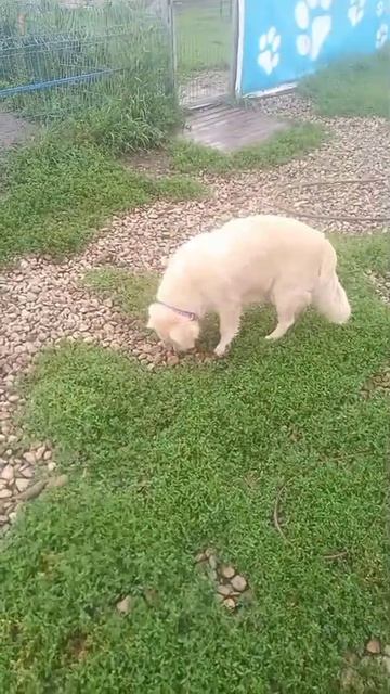 1000498748.mp4