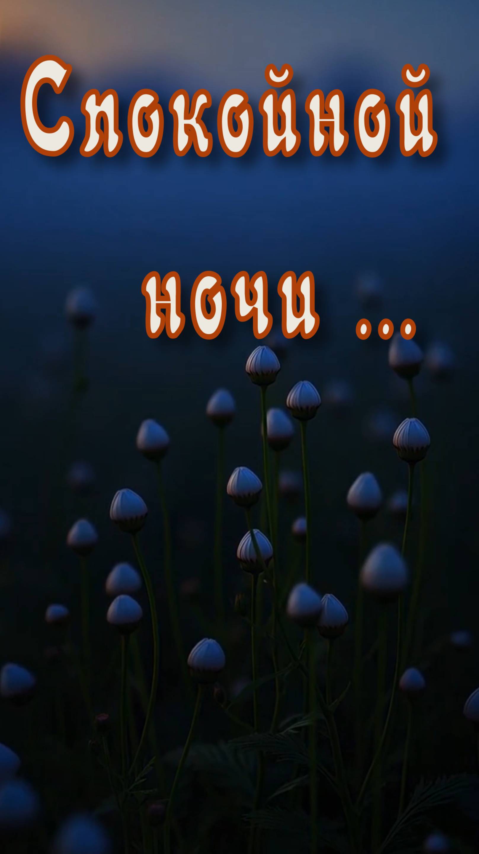 Спокойной ночи