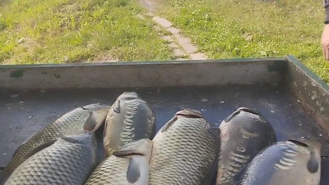 1000031359.mp4